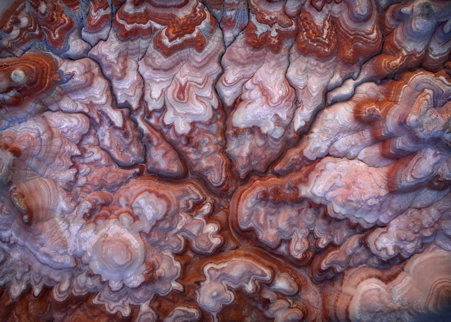 Colorado Plateau, USA Ett av vinnerbildene til Alex Noriegas fra Colorado Plateau i USA.